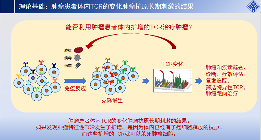 图片alt