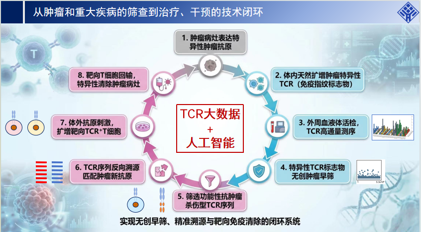 图片alt